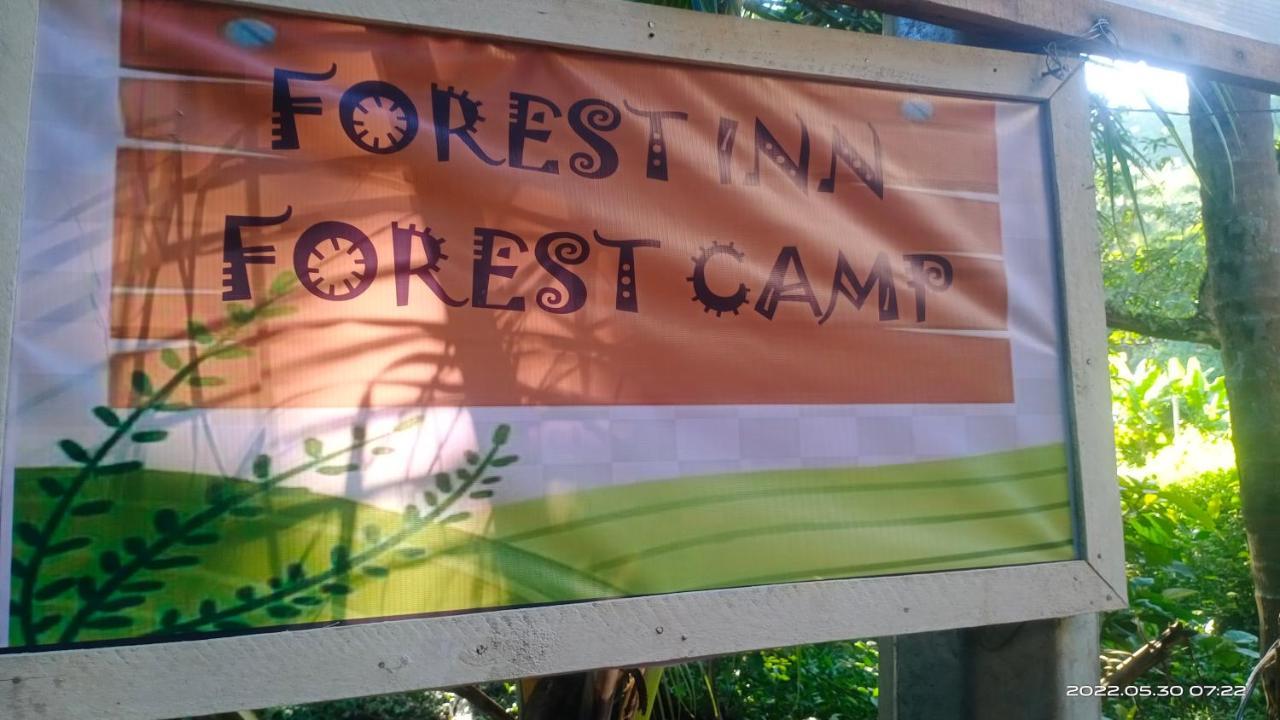 Forest Inn إل نيدو المظهر الخارجي الصورة