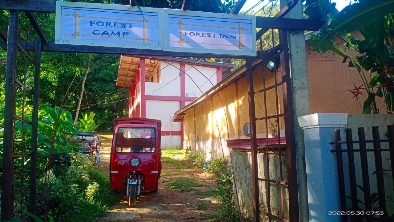 Forest Inn إل نيدو المظهر الخارجي الصورة